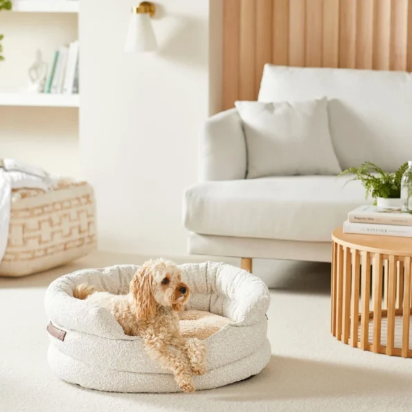 pets furniture